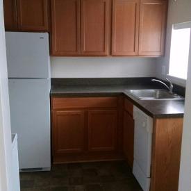 Renovated Town Home Kitchen